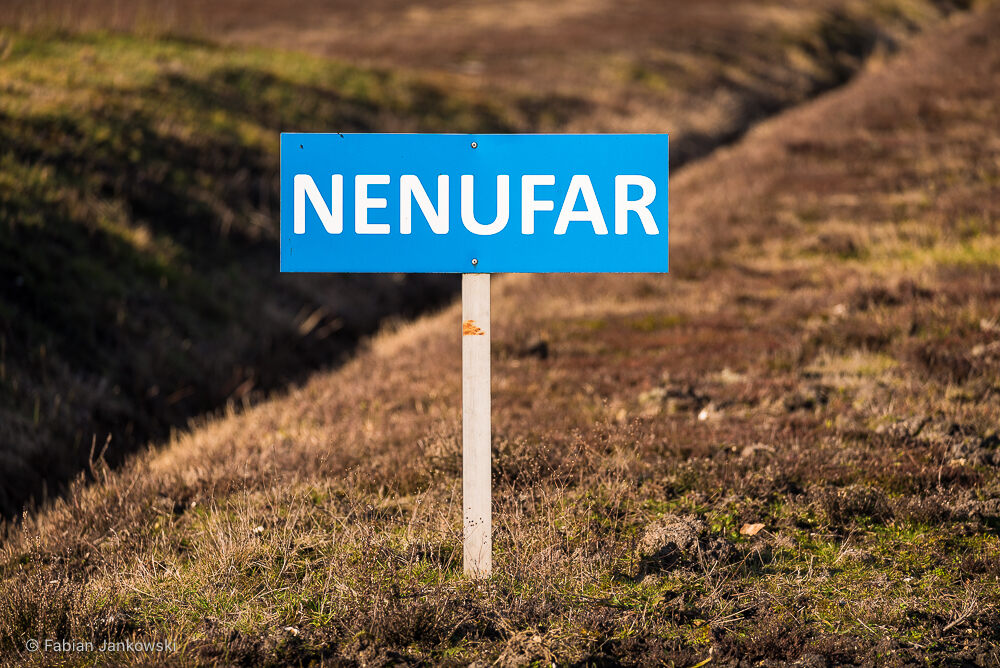 NenuFAR sign at the Nançay Radio Observatory.